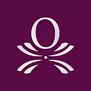 Optima Executives logo