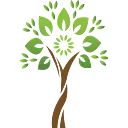 NANA Healthcare Management logo