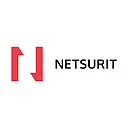 Netsurit logo