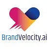 Brandvelocity.ai logo