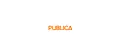 Publica Group logo