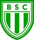 Boa Vista Saf logo