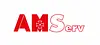 AMServ Nord GmbH & Co. KG logo