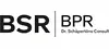 BPR Dr. Schäpertöns Consult GmbH & Co. KG logo