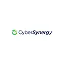 Cyber Synergy Consulting Group logo