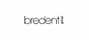 bredent GmbH & Co.KG logo