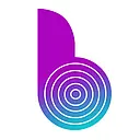 Binary Semantics logo