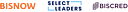 Bisnow logo