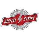 Digital Strike, LLC logo