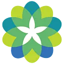 Emerus logo