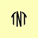 T&T Finance Controllers and CFO Advisors logo
