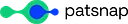 Patsnap logo