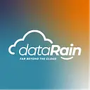dataRain Consulting logo