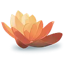 HealthPort logo