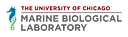 MBL logo
