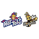 Minot Hot Tots / Honeybees logo