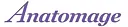 Anatomage logo