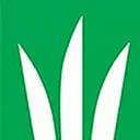 DLF USA Inc. logo