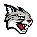 Davidson College logo