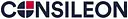 Business Analyst logo