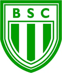 Boavista SAF logo