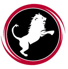 Nemean Solutions logo