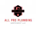 All Pro Plumbing NW logo