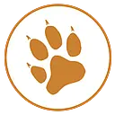 Black Cat Civil Pty logo