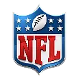 The National Football League logo