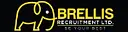 Brellis Recruitment logo