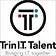 TrinIT Group logo