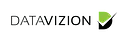DataVizion logo