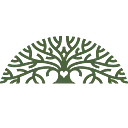 Mesquite Modules Corporation logo