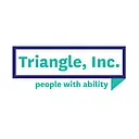 Triangle logo
