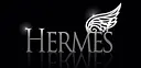 Hermes Worldwide logo
