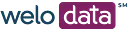 Welo Data logo