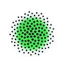 Baselayer logo