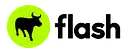 Flash logo