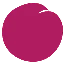 Plum Market logo