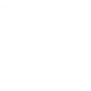 Cognichip logo