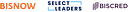 Bisnow logo