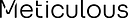 Meticulous logo