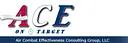 Air Combat Effectiveness Consulting Group logo