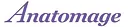 Anatomage logo