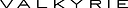 Valkyrie logo