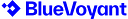 BlueVoyant logo