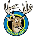 Waterloo Bucks Baseball logo