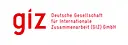 GIZ-Kamerun logo