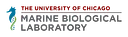 MBL logo