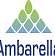 Ambarella logo